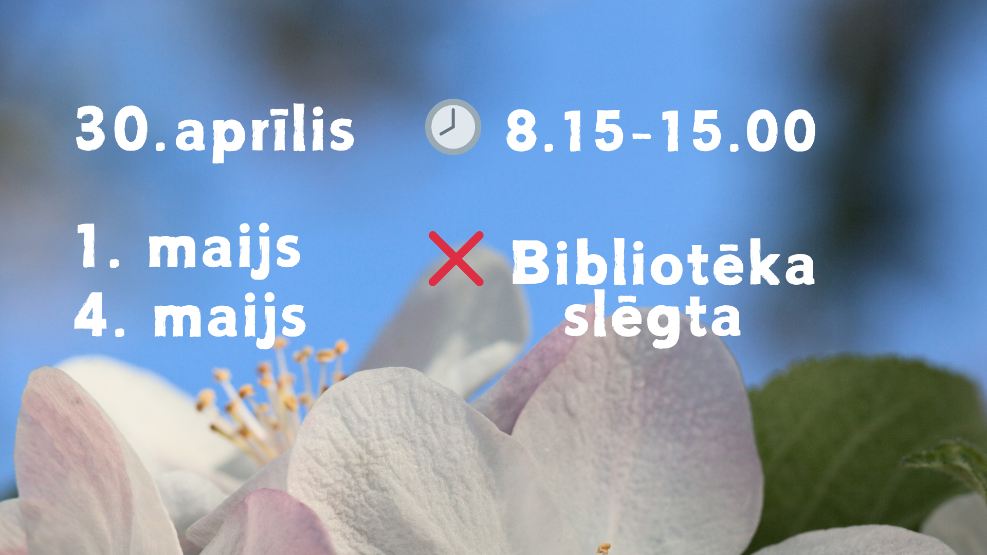 LBTU Fundamentālās bibliotēkas darba laiks maija brīvdienās, 2026