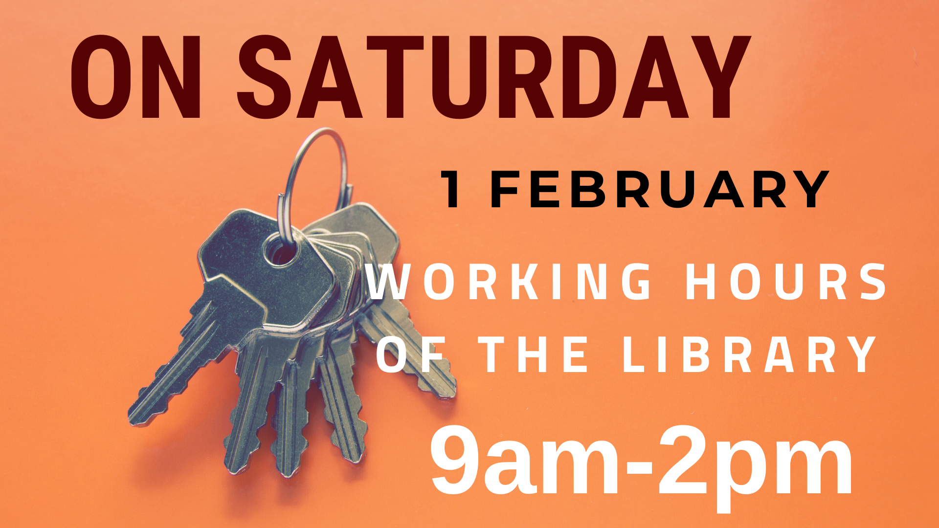 On Saturday 1 February our library is open from 9am until 2pm