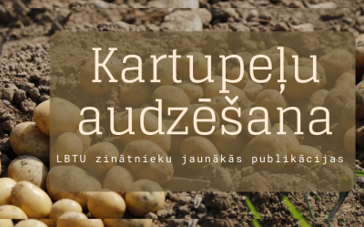 Virtuālā publikāciju izstāde. Kartupeļu audzēšana - LBTU (LLU) zinātnieku jaunākās publikācijas.