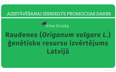 LBTU aizstāvēšanai iesniegts promocijas darbs: Irina Sivicka. Raudenes (Origanum vulgare L.) ģenētisko resursu izvērtējums Latvijā