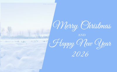 Best wishes for a Merry Christmas and a successful New Year!